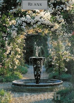 Fountain in the rose garden Tillykkekort Blomsterkort, tillykkekort, fødselsdagskort, takkekort, kunstkort,