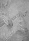 Zebrapar fra Zoo Malet af Kunstmaler Inge Marie Jensen
